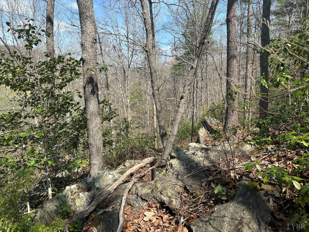 0 Wagon Trail Road Monroe, VA 24574 - Photo 24 of 24