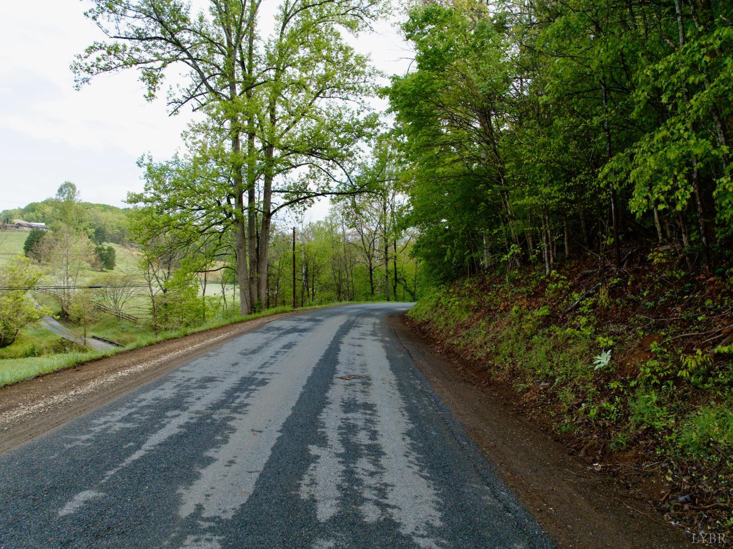 0 Wagon Trail Road Monroe, VA 24574 - Photo 3 of 24