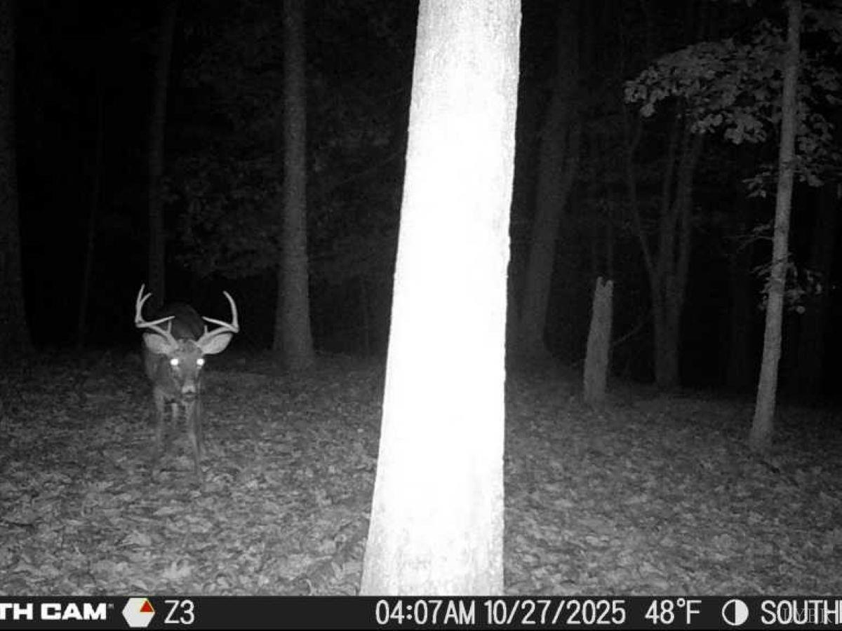 0 Wagon Trail Road Monroe, VA 24574 - Photo 5 of 24