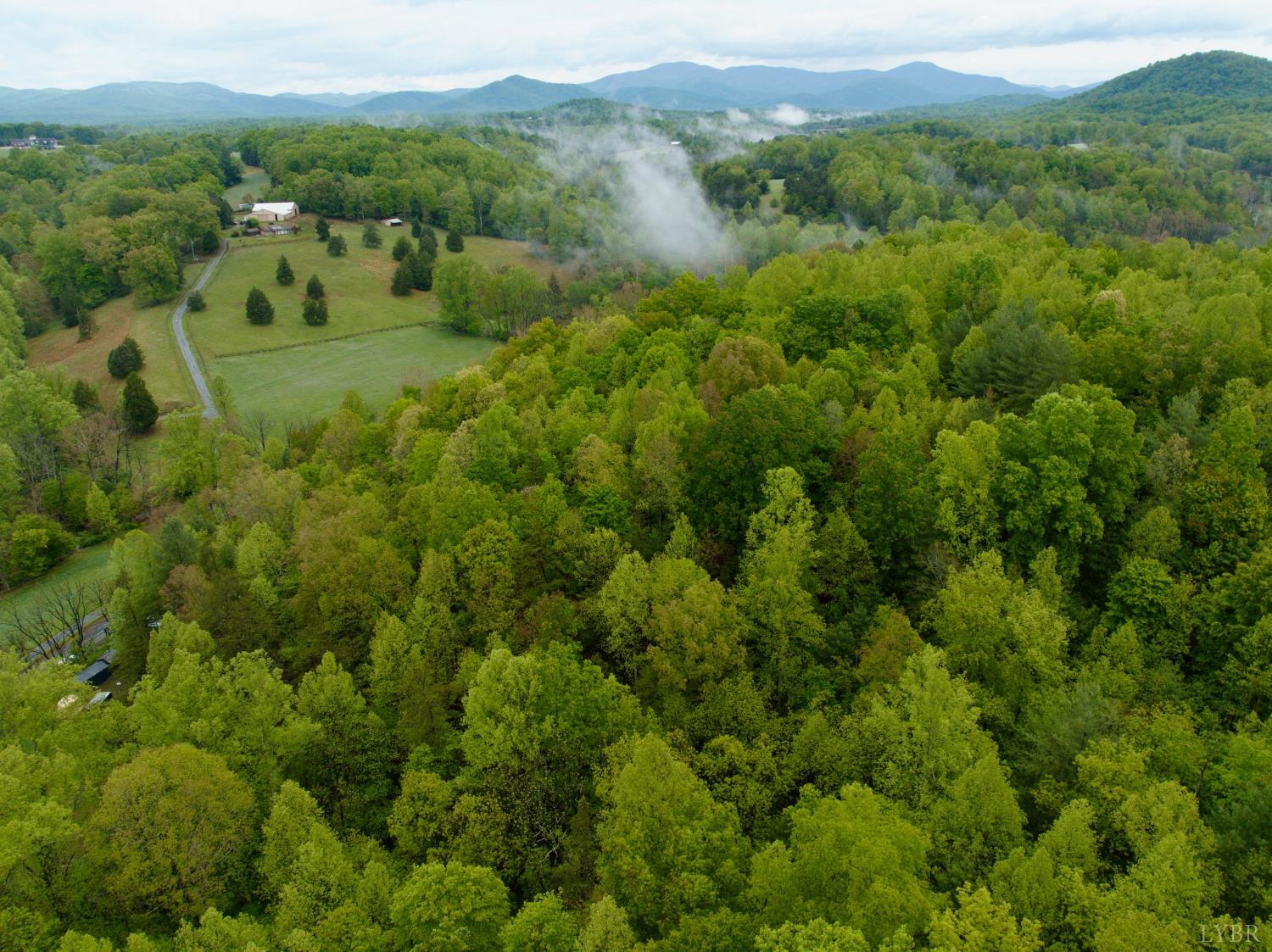 0 Wagon Trail Road Monroe, VA 24574 - Photo 10 of 24