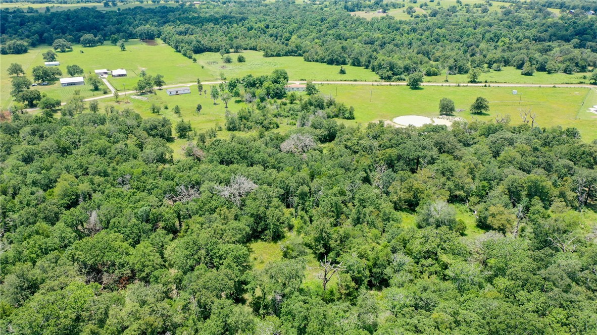 9960 Goose Prairie Road Midway, TX 75852 - Photo 4 of 27 AI Generated Grass