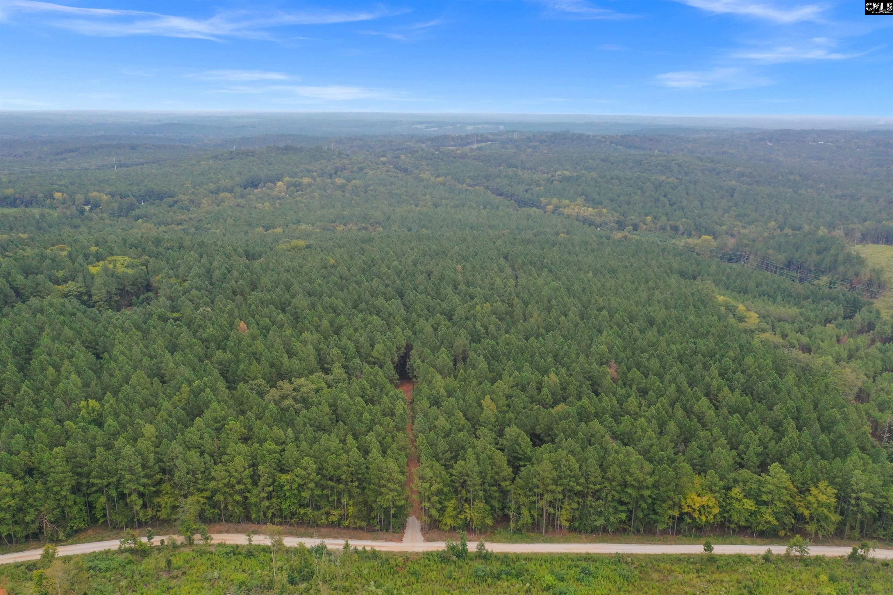 0 Penner Road, Unit 10 Jenkinsville, SC 29065 - Photo 22 of 43