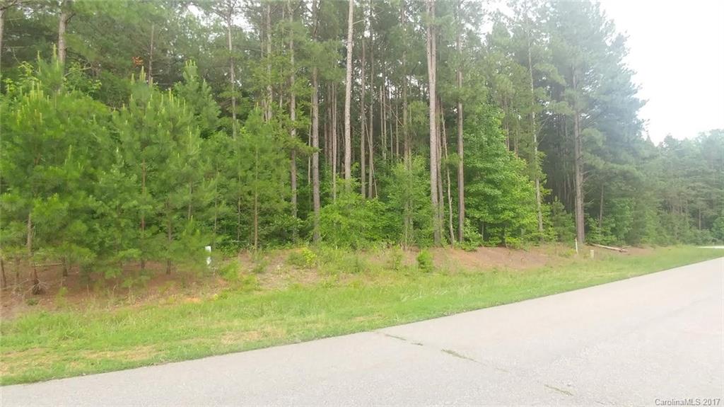 1077 Inlet Point Drive Salisbury, NC 28146 - Photo 2 of 10