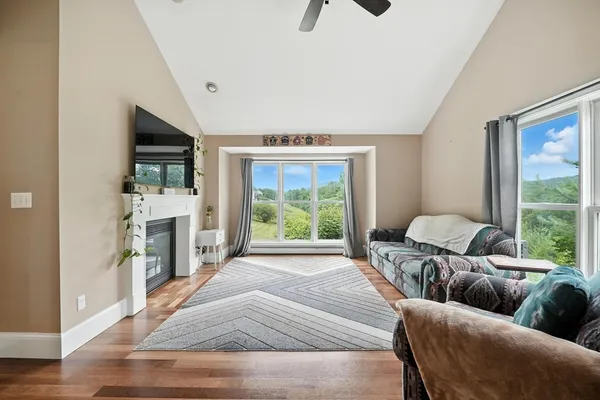 a living room with furniture and a fireplace