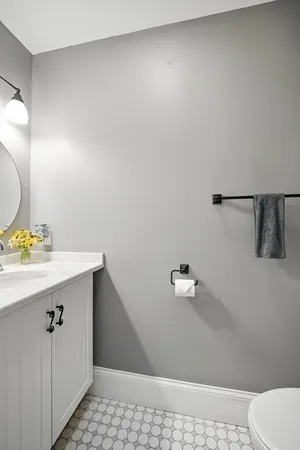 a bathroom with a sink a toilet and vanity