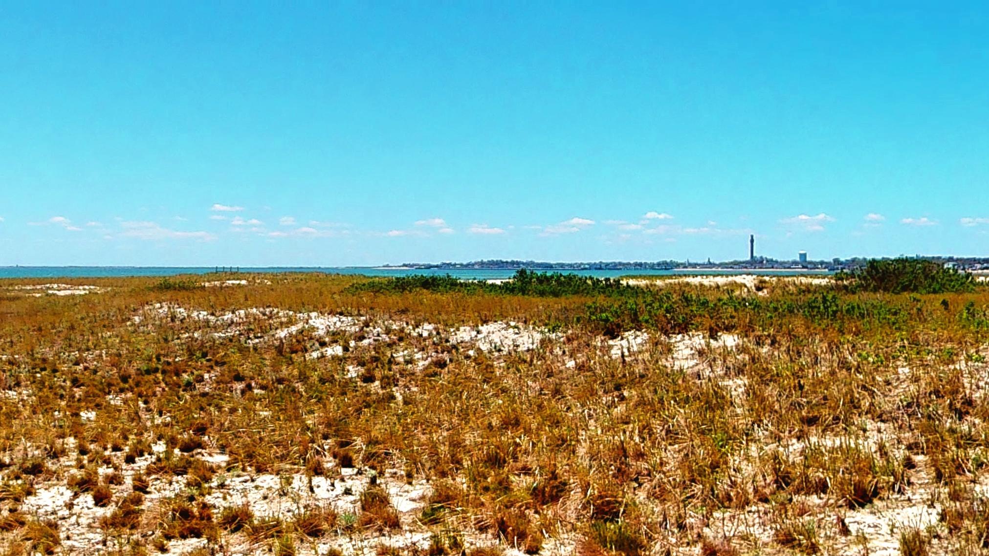 670 Shore Road, Unit 7 Truro, MA 02666 - Photo 54 of 54 Beach 2