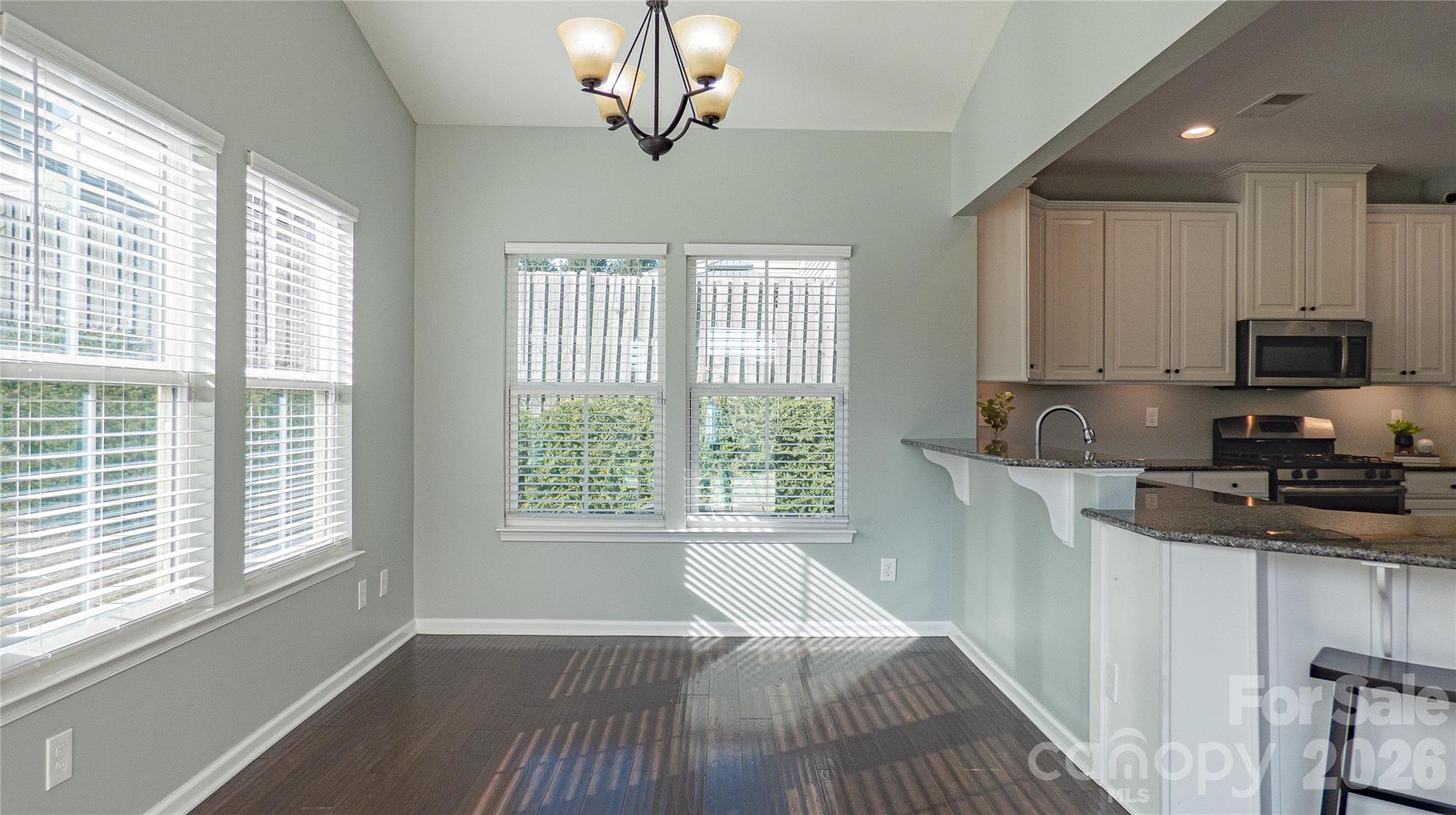 321 Almora Loop Mooresville, NC 28115 - Photo 13 of 31