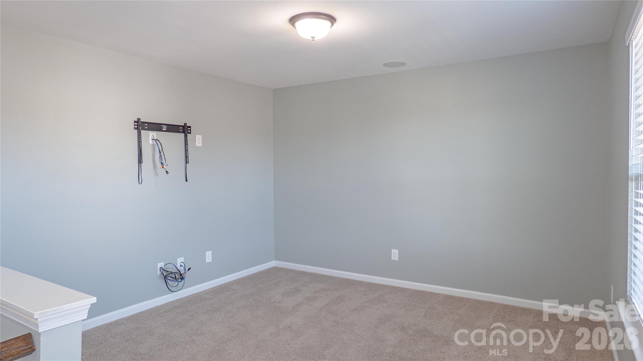 321 Almora Loop Mooresville, NC 28115 - Photo 19 of 31