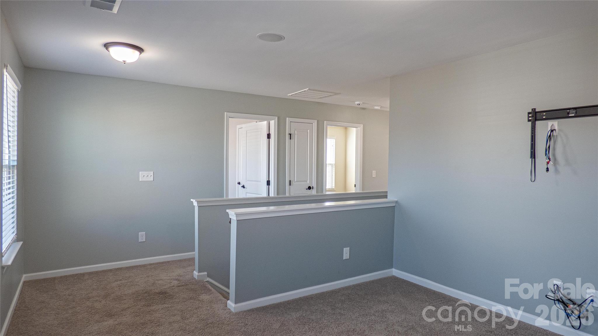 321 Almora Loop Mooresville, NC 28115 - Photo 20 of 31