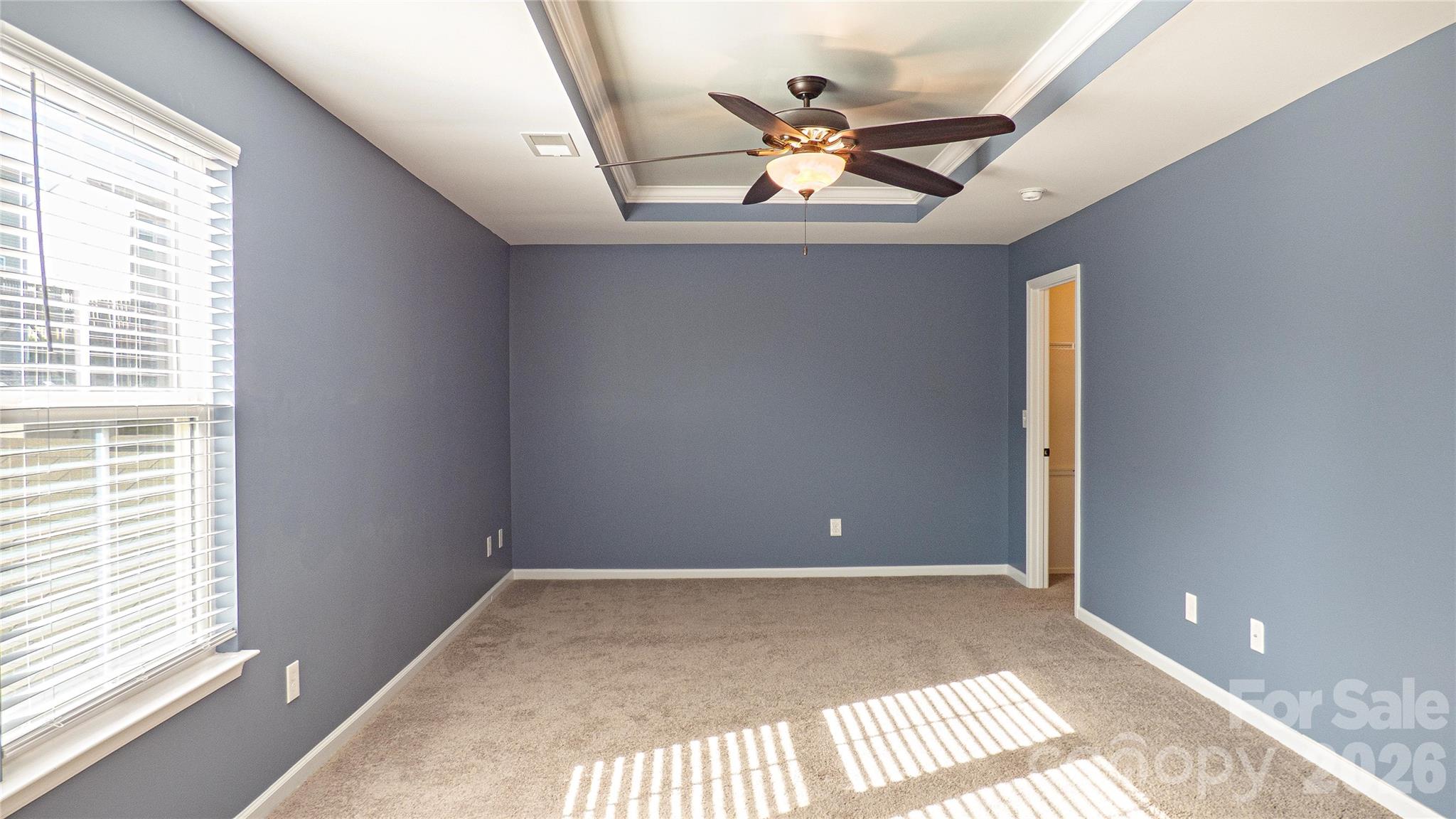 321 Almora Loop Mooresville, NC 28115 - Photo 21 of 31