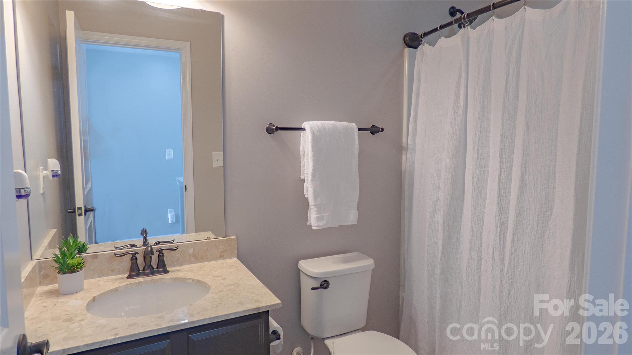 321 Almora Loop Mooresville, NC 28115 - Photo 27 of 31