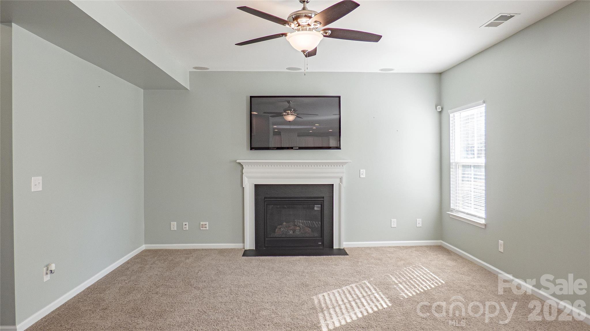321 Almora Loop Mooresville, NC 28115 - Photo 4 of 31