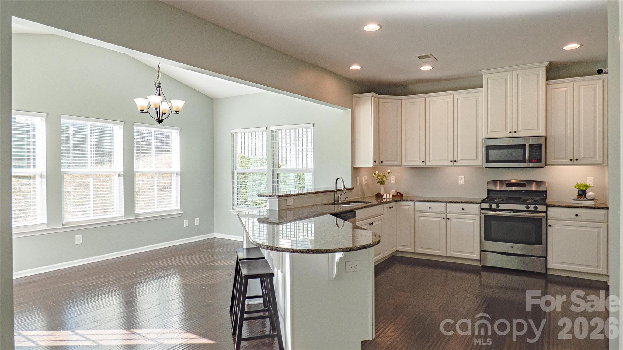 321 Almora Loop Mooresville, NC 28115 - Photo 7 of 31