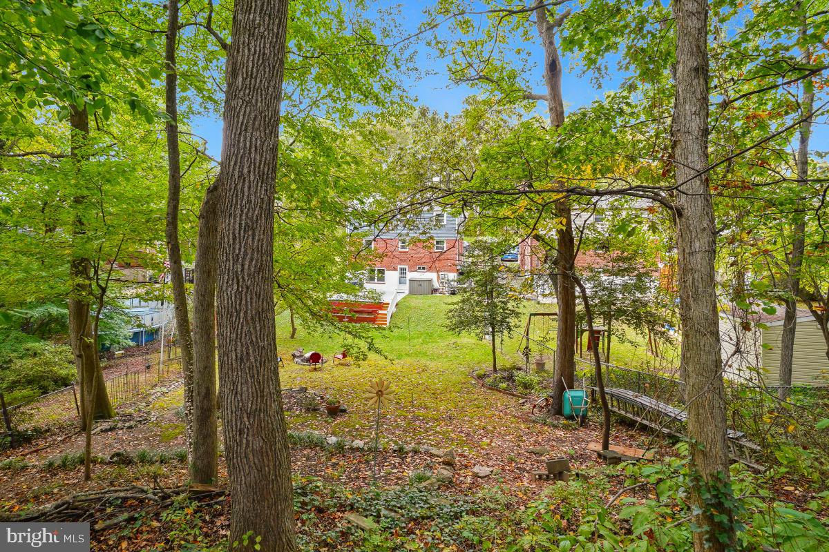 6013 Hawthorne Street Cheverly, MD 20785 - Photo 29 of 30 a view of a yard with potted plants