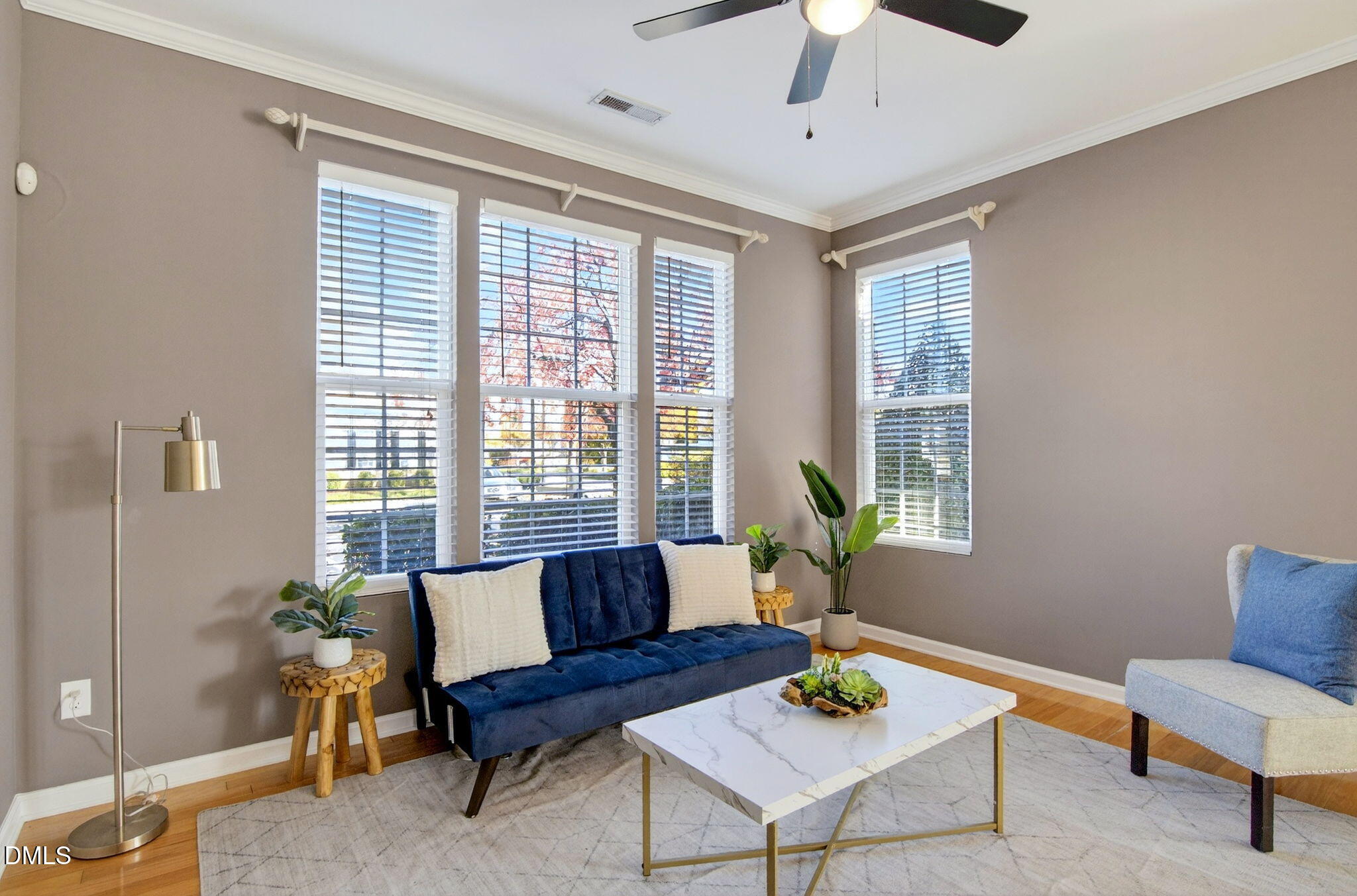 603 Cupola Drive Raleigh, NC 27603 - Photo 7 of 32 a living room with furniture and a potted plant