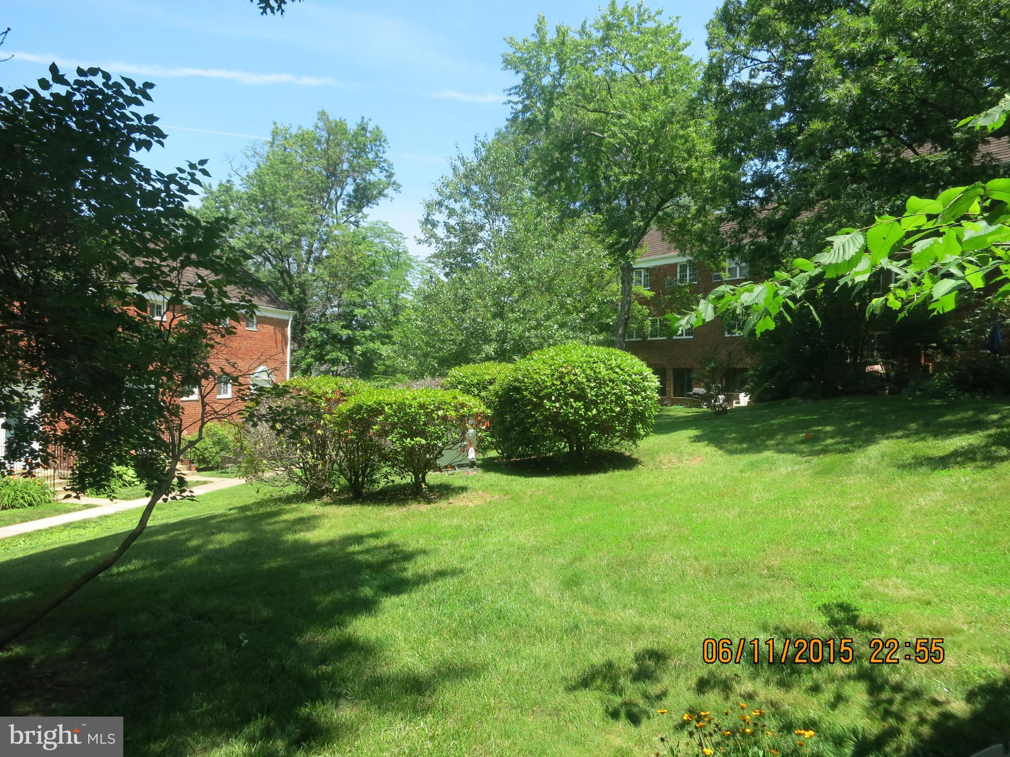 3212 Gunston Road Alexandria, VA 22302 - Photo 14 of 21 Exterior (Rear)