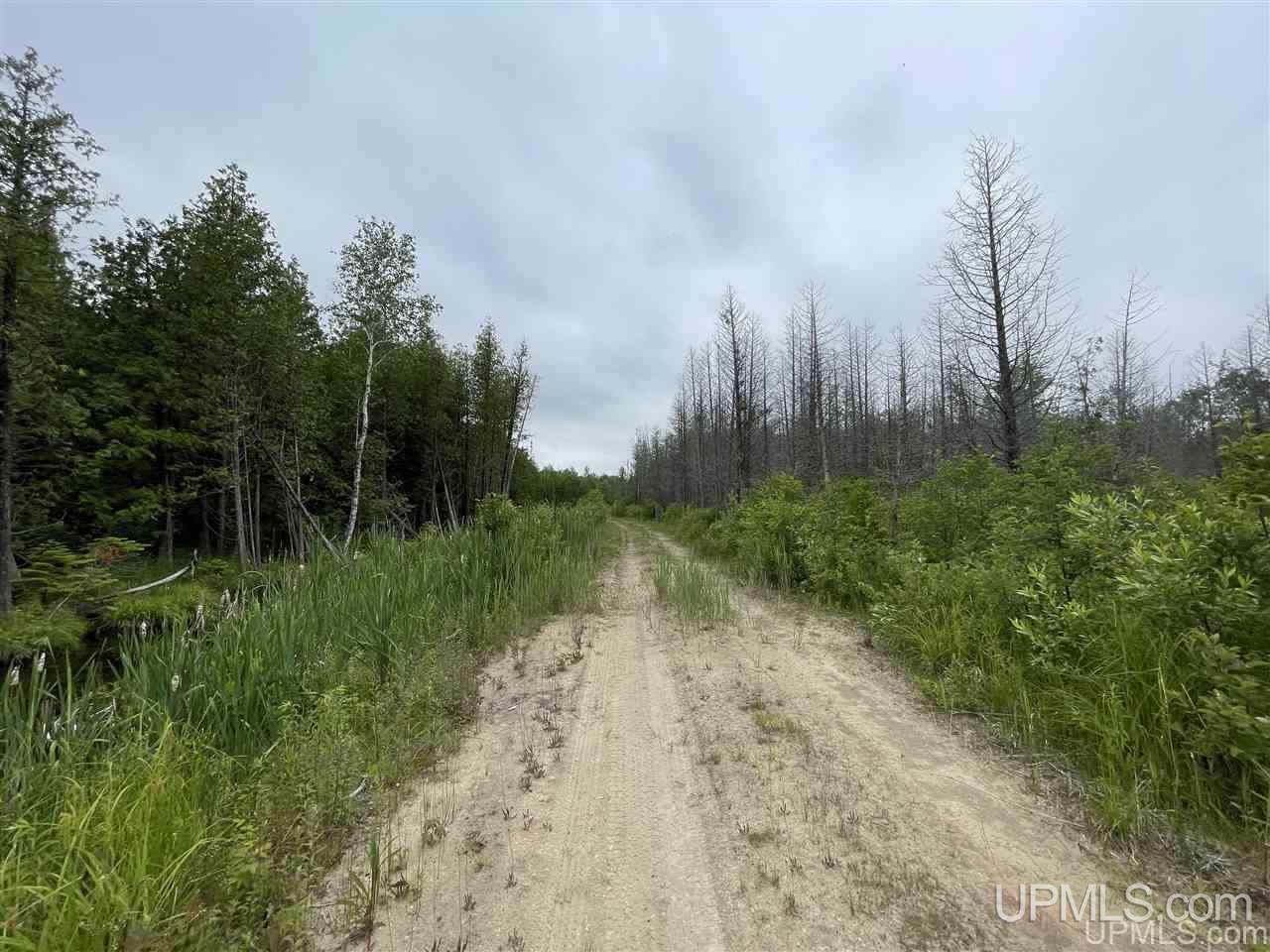 2374 S Carlson Road Manistique, MI 49854 - Photo 18 of 18 Gallery Image 18
