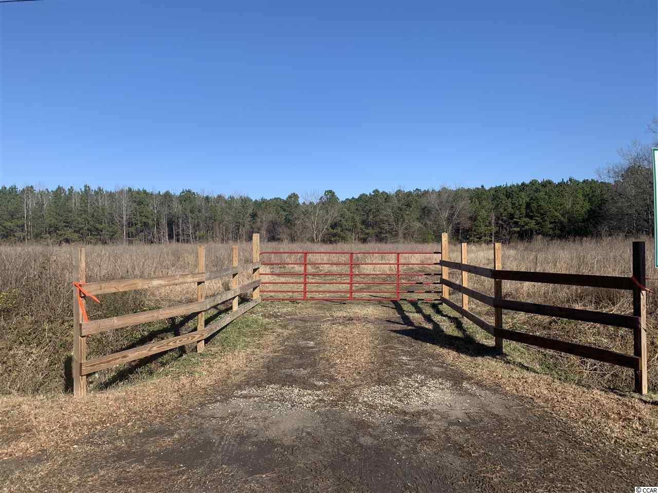 21-ac Guess Road Greeleyville, SC 29056 - Photo 1 of 7