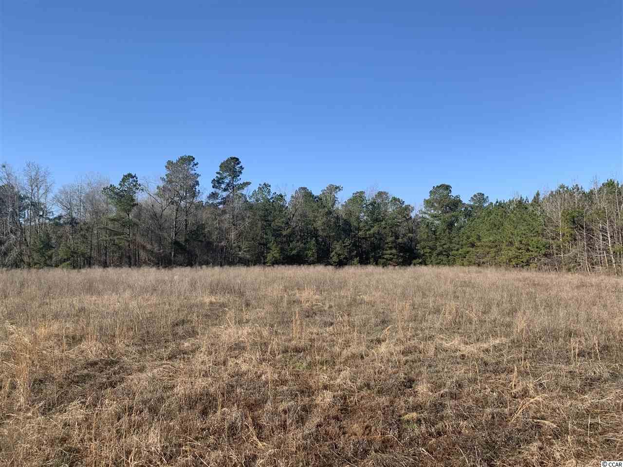 21-ac Guess Road Greeleyville, SC 29056 - Photo 2 of 7