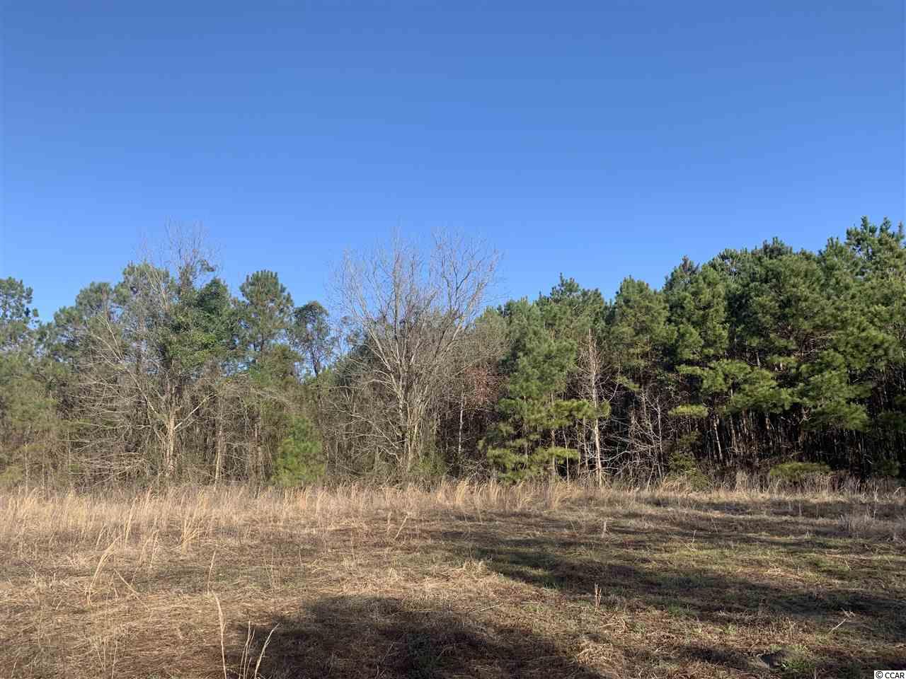 21-ac Guess Road Greeleyville, SC 29056 - Photo 3 of 7
