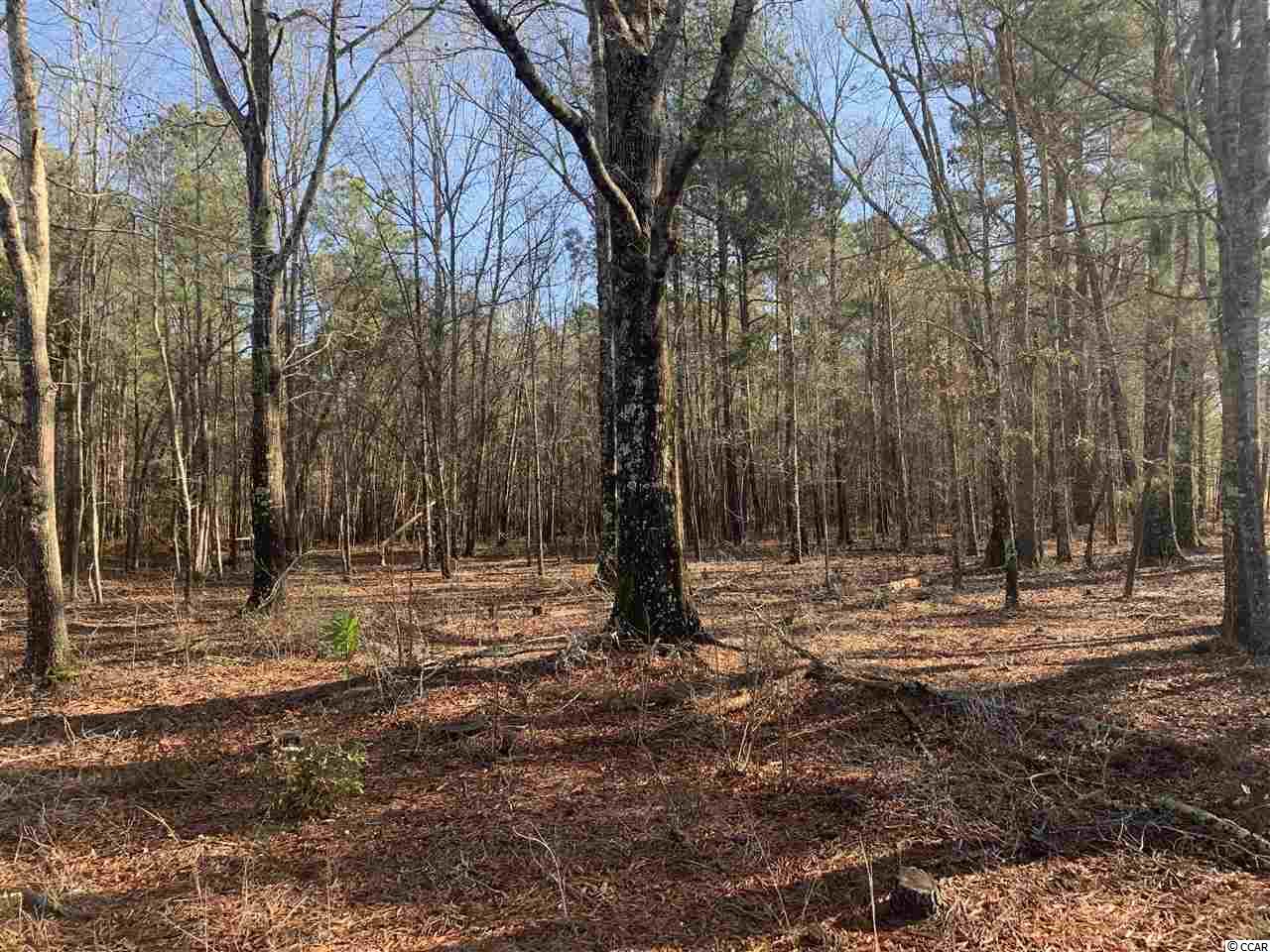 21-ac Guess Road Greeleyville, SC 29056 - Photo 4 of 7