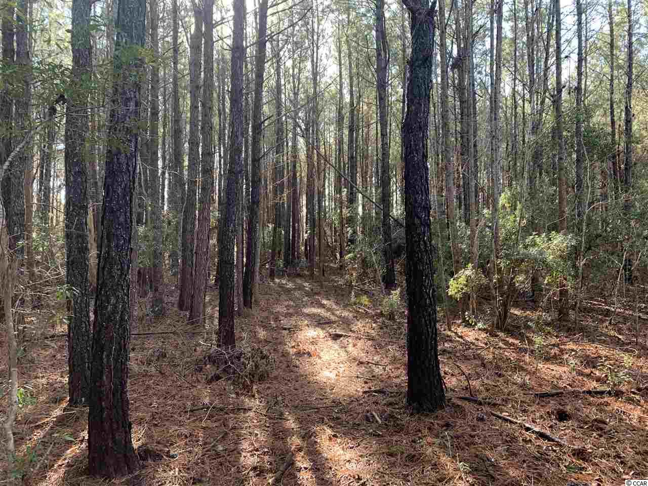 21-ac Guess Road Greeleyville, SC 29056 - Photo 5 of 7