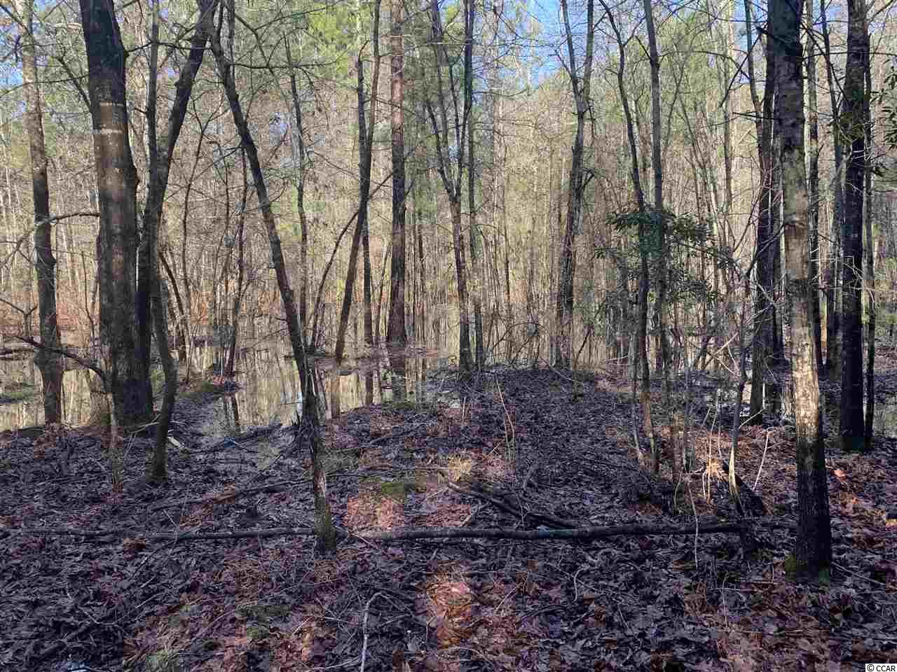 21-ac Guess Road Greeleyville, SC 29056 - Photo 6 of 7