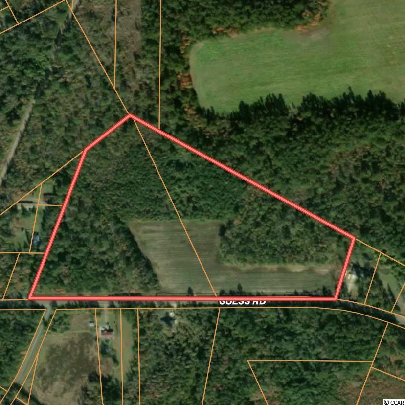 21-ac Guess Road Greeleyville, SC 29056 - Photo 7 of 7