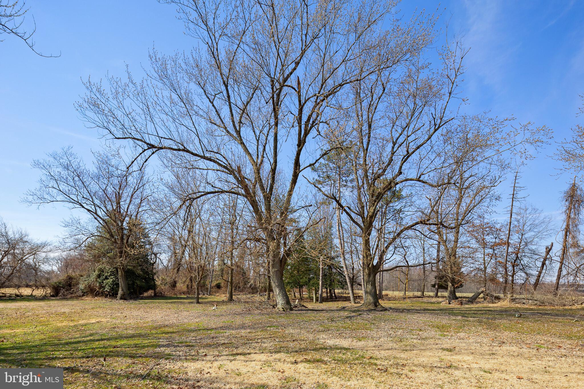 0 West Cohawkin Road Clarksboro, NJ 08020 - Photo 18 of 19 Gallery Image 18