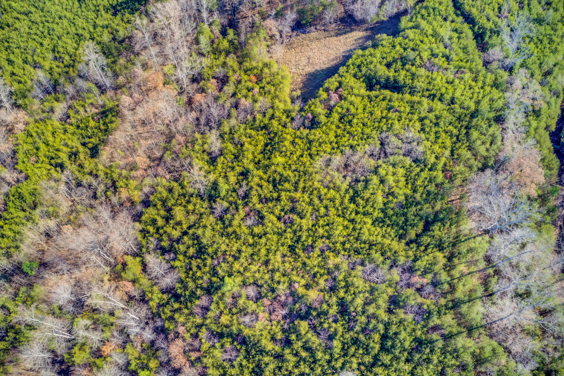 Lot 18 Lakestone Rd Union Union Hall, VA 24176 - Photo 14 of 30 L3