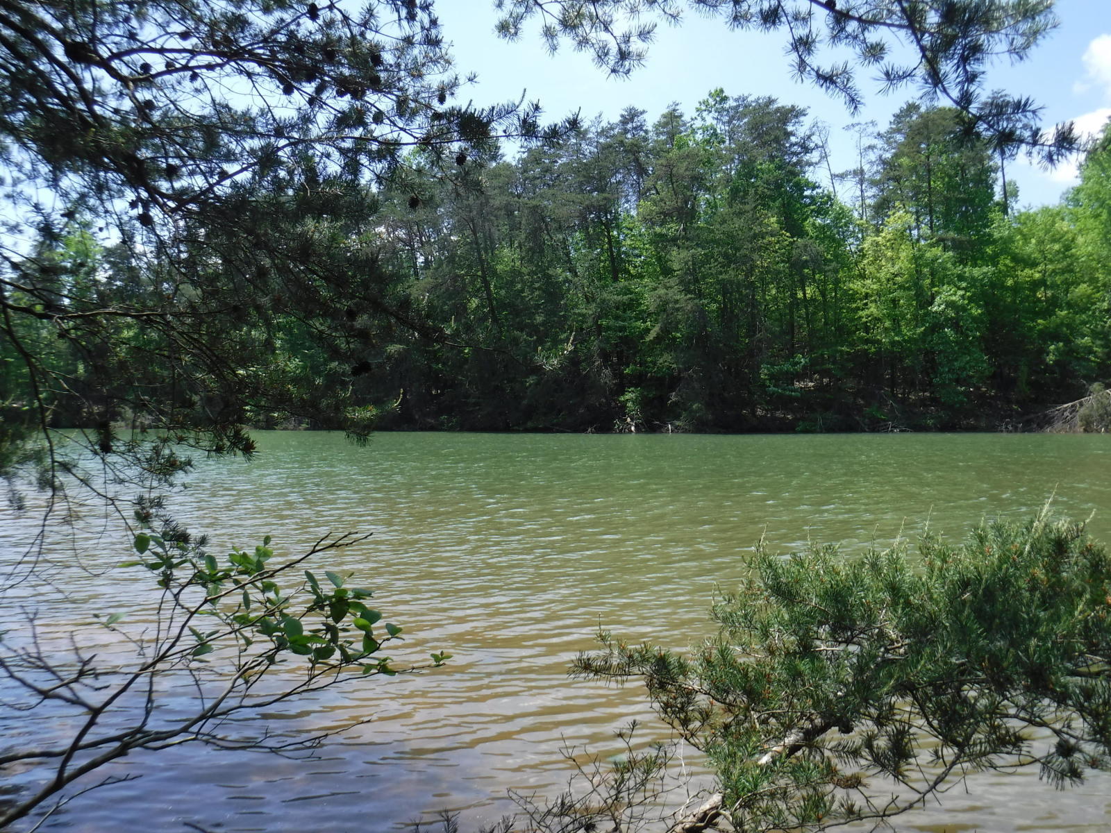 Lot 18 Lakestone Rd Union Union Hall, VA 24176 - Photo 25 of 30 l25