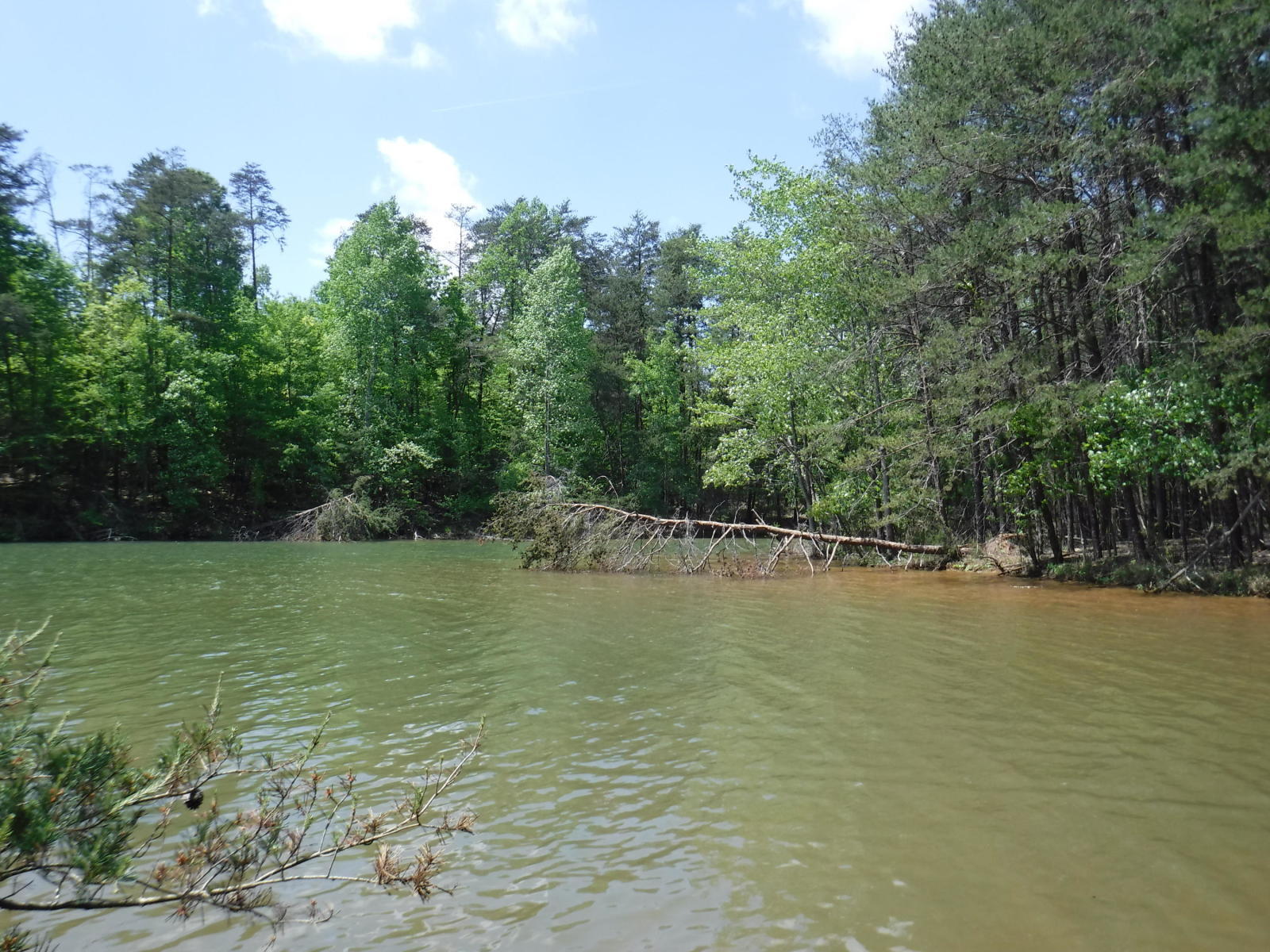 Lot 18 Lakestone Rd Union Union Hall, VA 24176 - Photo 28 of 30 l28