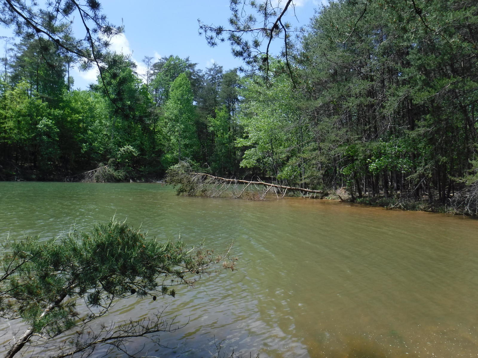 Lot 18 Lakestone Rd Union Union Hall, VA 24176 - Photo 30 of 30 L31