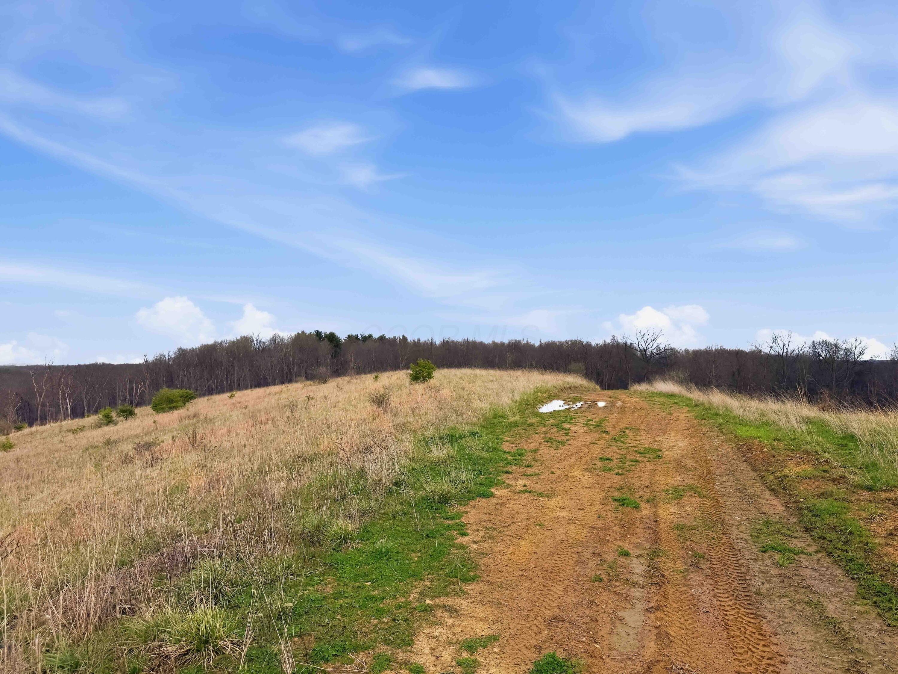 22470 Griffith Road Logan, OH 43138 - Photo 5 of 29 Griffith Rd-5