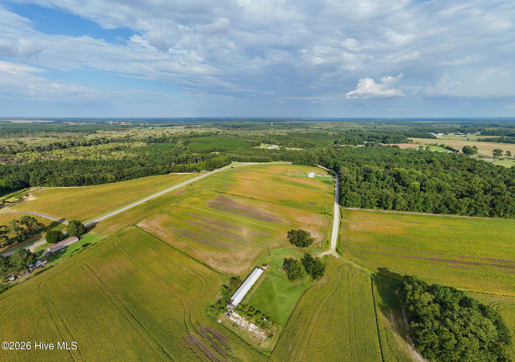 Tbd Gus Town Road Creswell, NC 27928 - Photo 4 of 19 5-web-or-mls-gus-town-rd