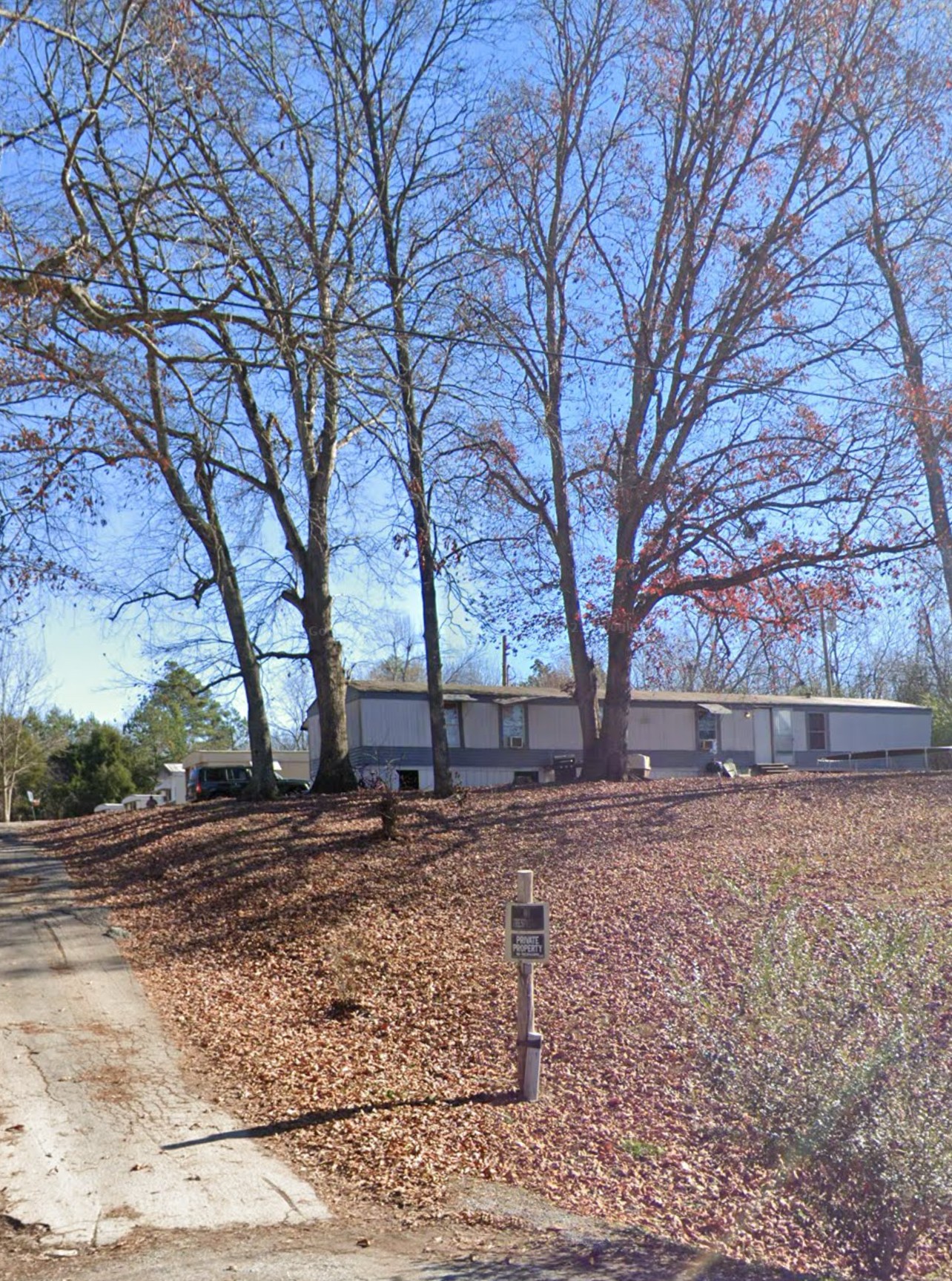 a view of a yard with trees