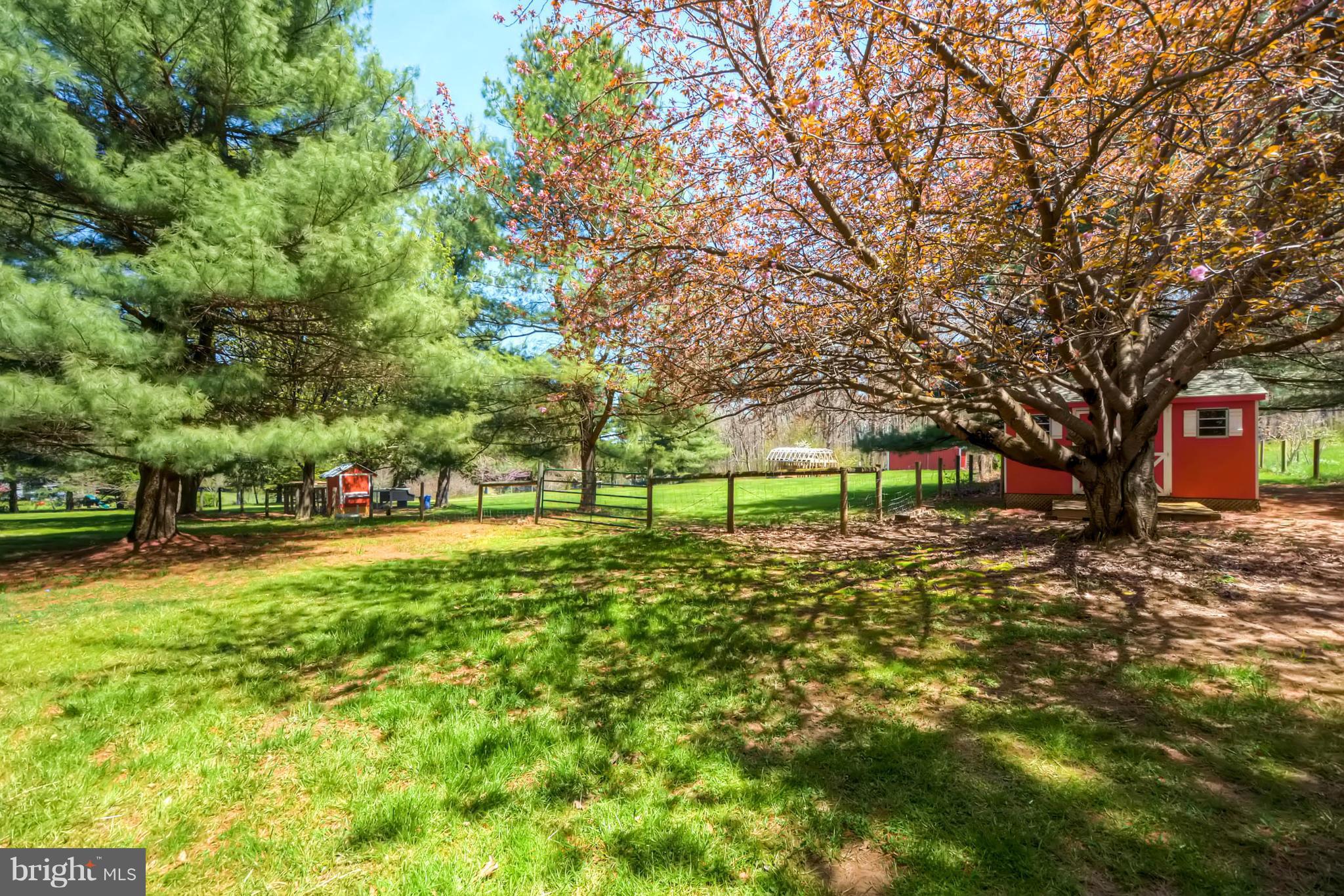 3849 Bay Road Street, MD 21154 - Photo 25 of 30 Rear Yard Overlooking Horse Pasture/Chicken Coop