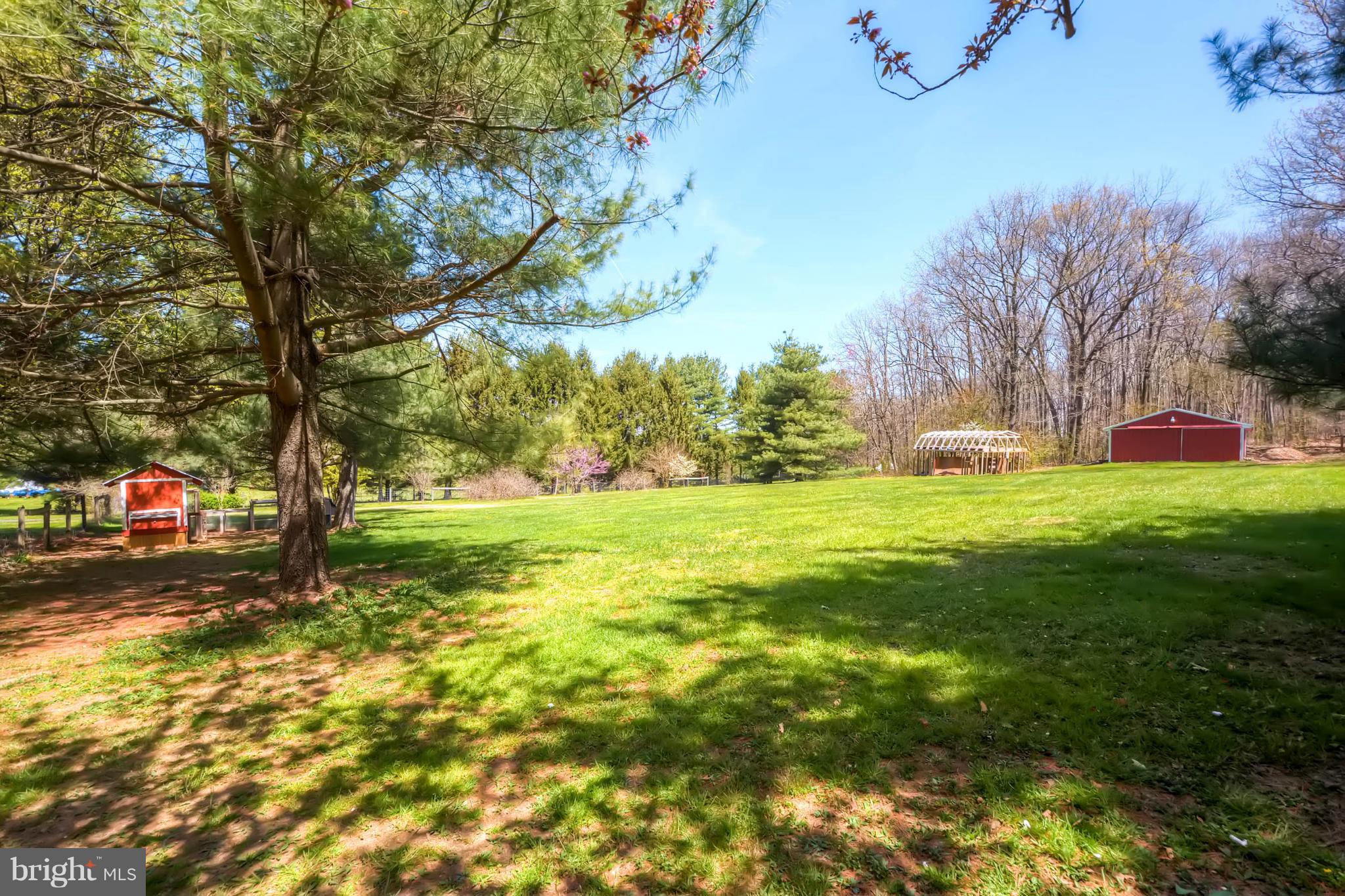 3849 Bay Road Street, MD 21154 - Photo 29 of 30 Fenced-In Pasture