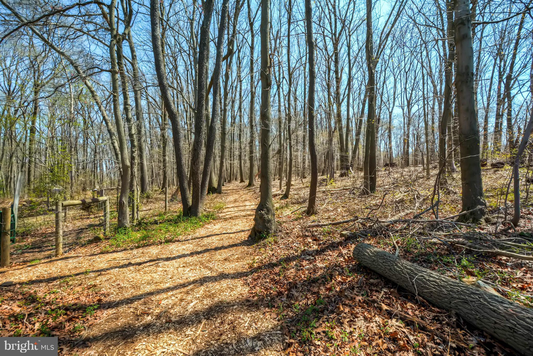 3849 Bay Road Street, MD 21154 - Photo 30 of 30 Walking Trail/Woods