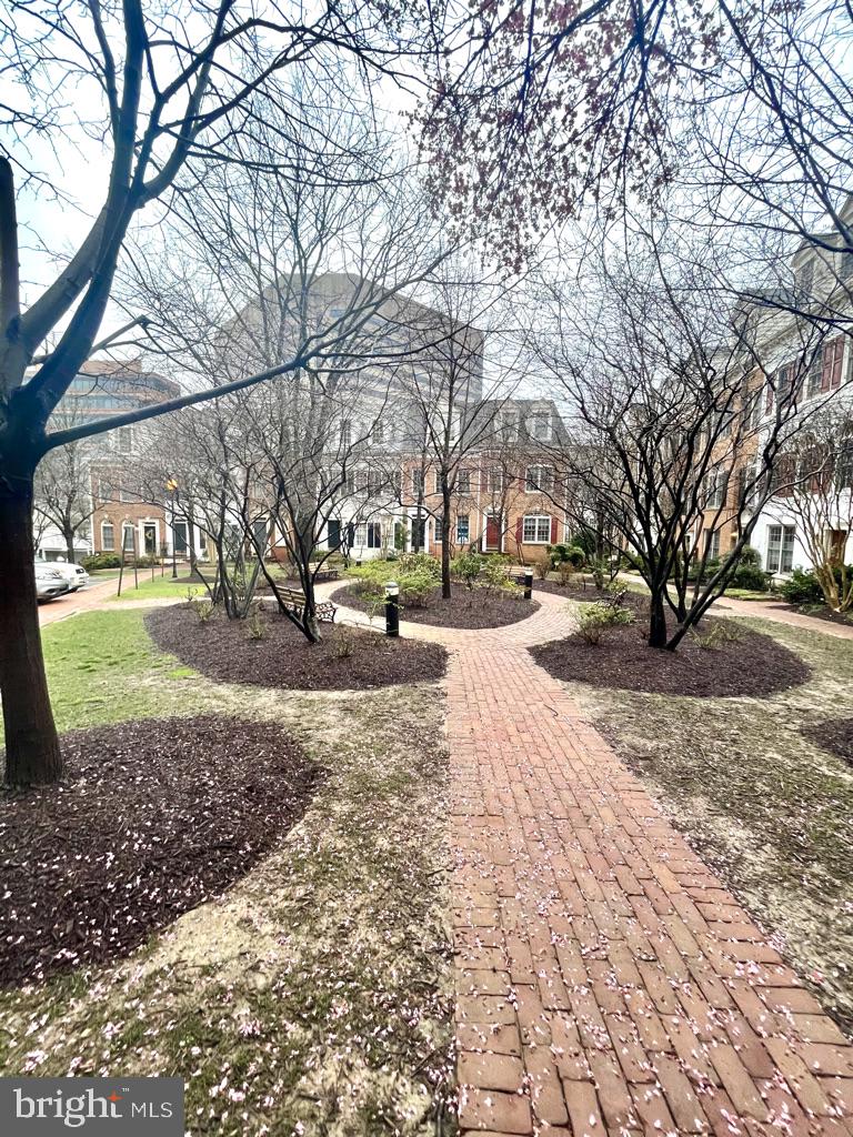 8527 2nd Avenue Silver Spring, MD 20910 - Photo 2 of 38 Central Courtyard. Visitor Parking to the left.