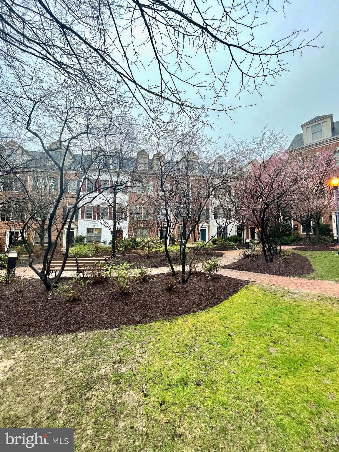 8527 2nd Avenue Silver Spring, MD 20910 - Photo 3 of 38 Central Courtyard. Blooming soon!
