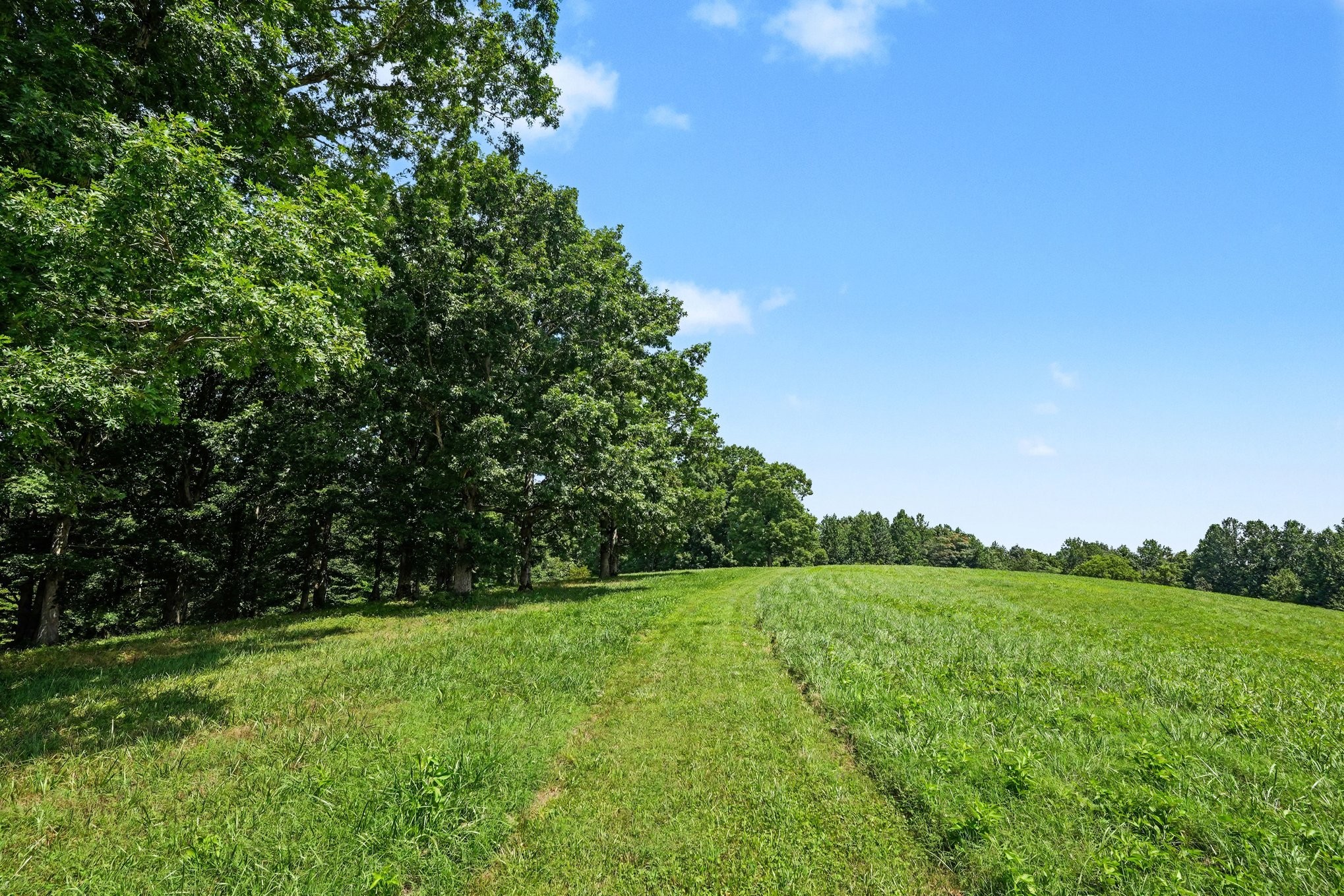 609 Stacy Road White Bluff, TN 37187 - Photo 24 of 36