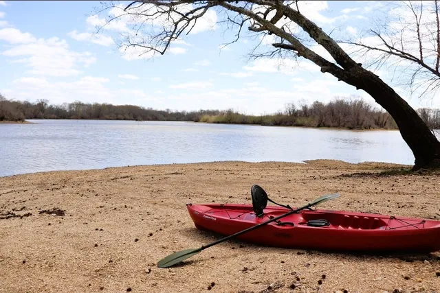 a house that has a tree in front of it