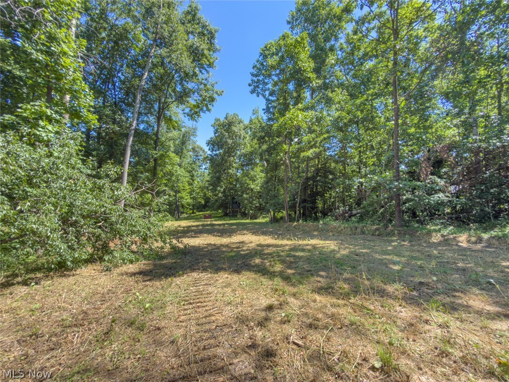 6985 Brush Run Road Cambridge, OH 43725 - Photo 32 of 50