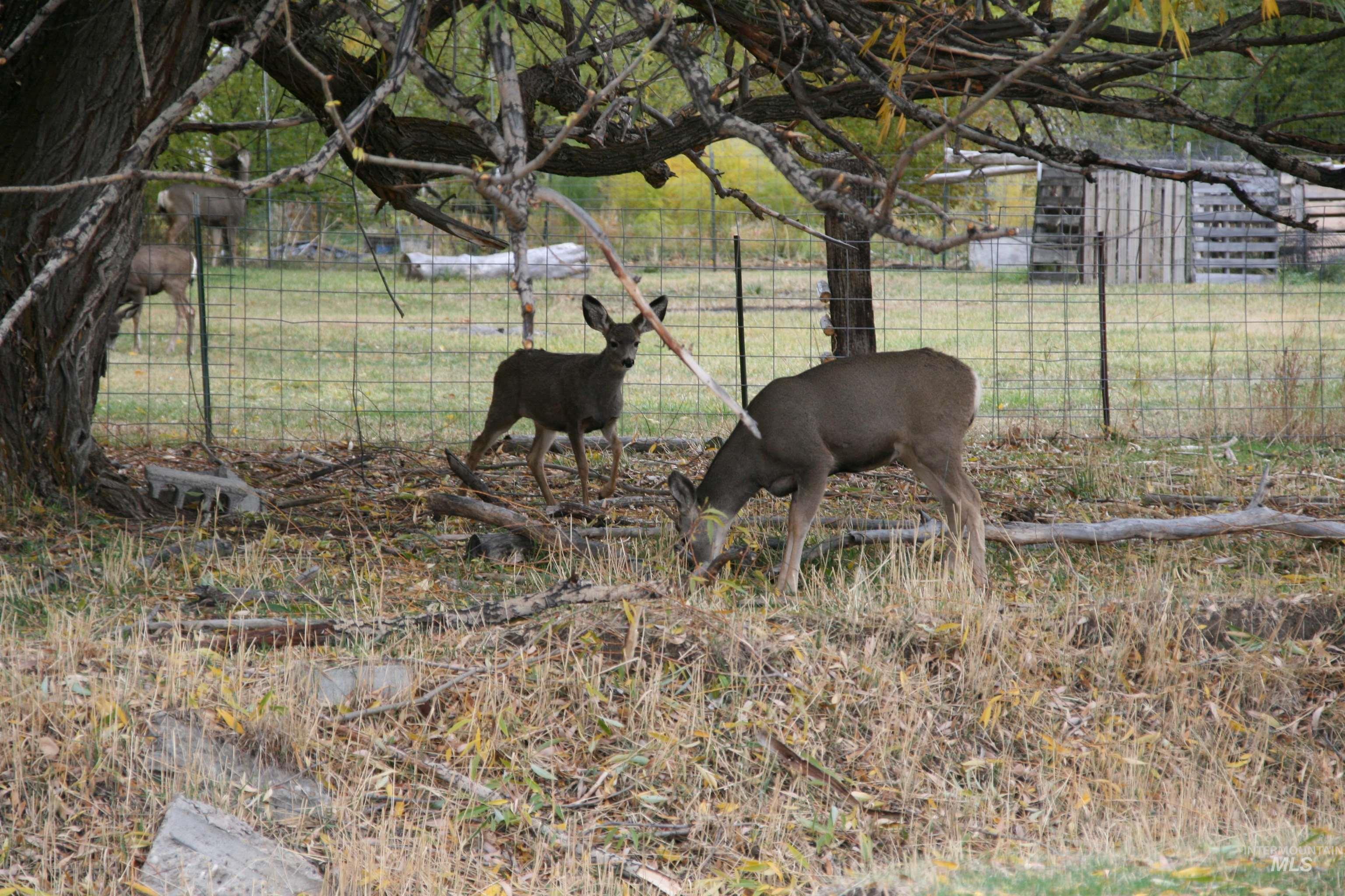 500 Somerville Street Jordan Valley, OR 97910 - Photo 35 of 35 Exterior view