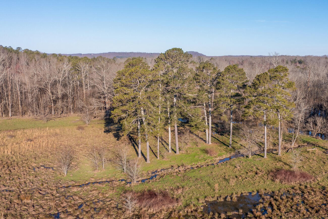 840 Humbard Road Southeast Cleveland, TN 37323 - Photo 54 of 64 840 Humbard Rd SE