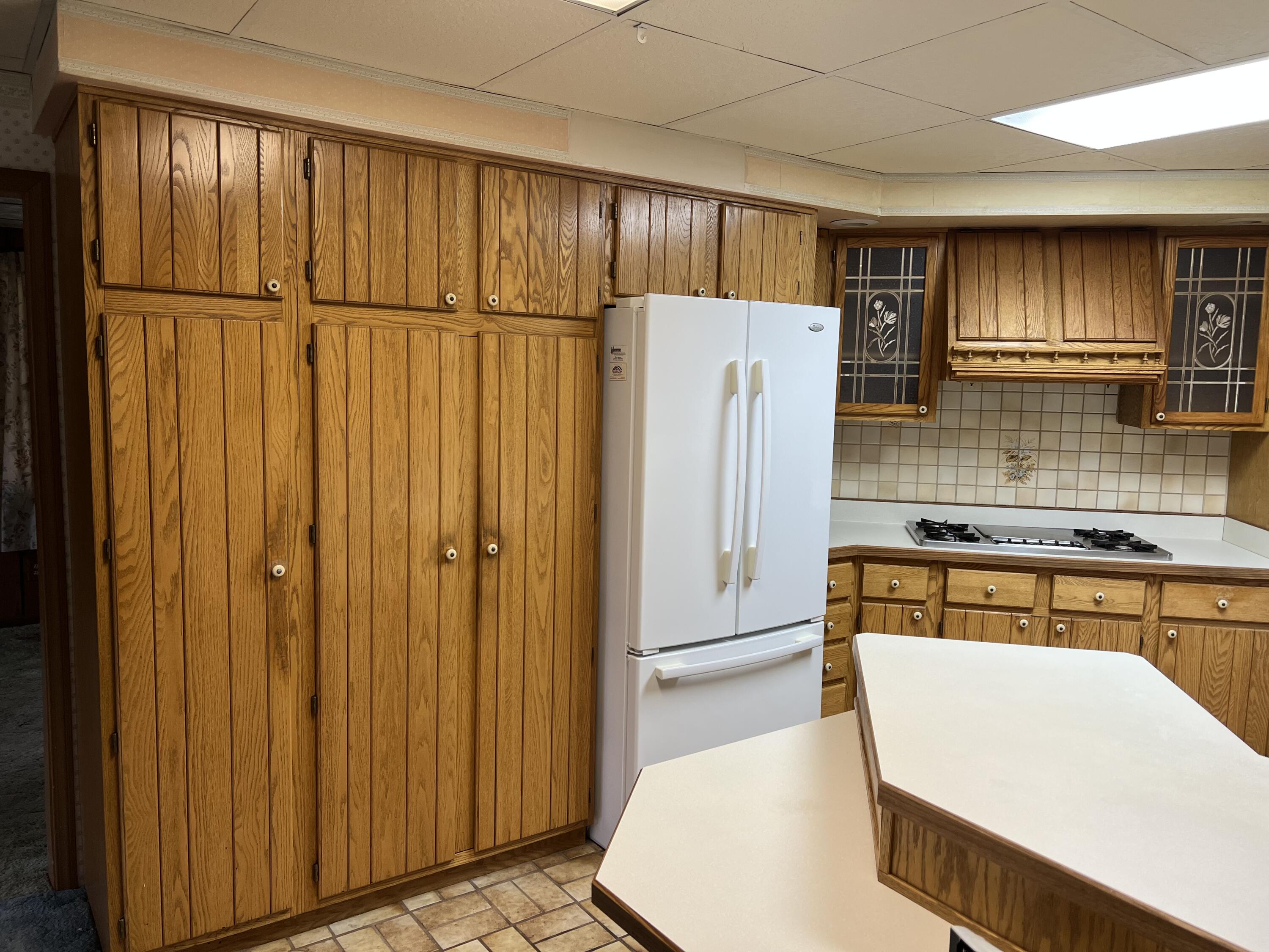 60880 Strobel Road Centreville, MI 49032 - Photo 10 of 51 Kitchen Pantry