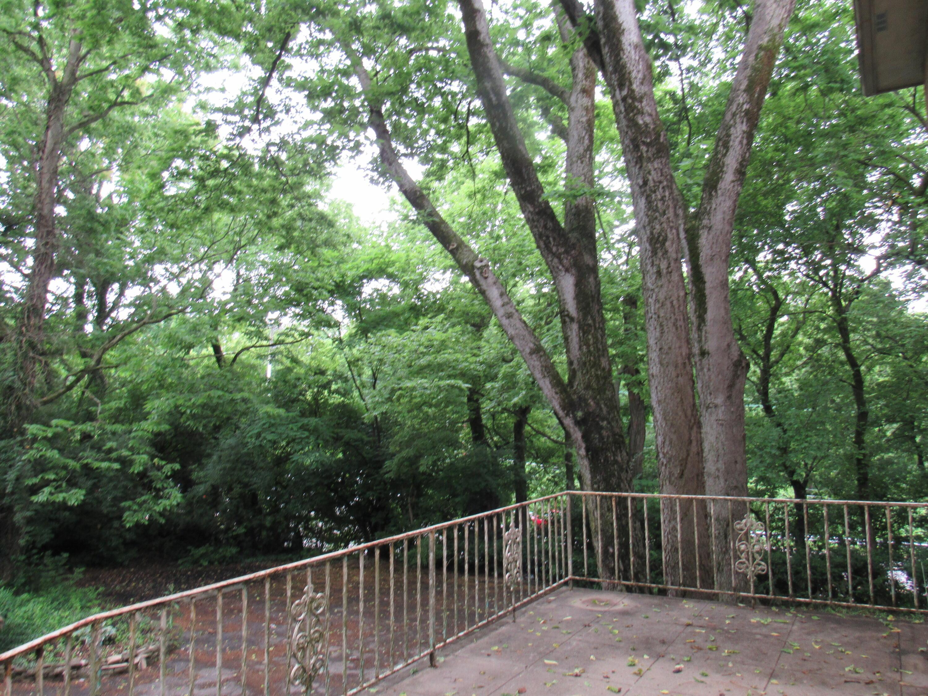 2551 Charing Road, Unit 6 Upper Arlington, OH 43221 - Photo 26 of 29 View From the Balcony