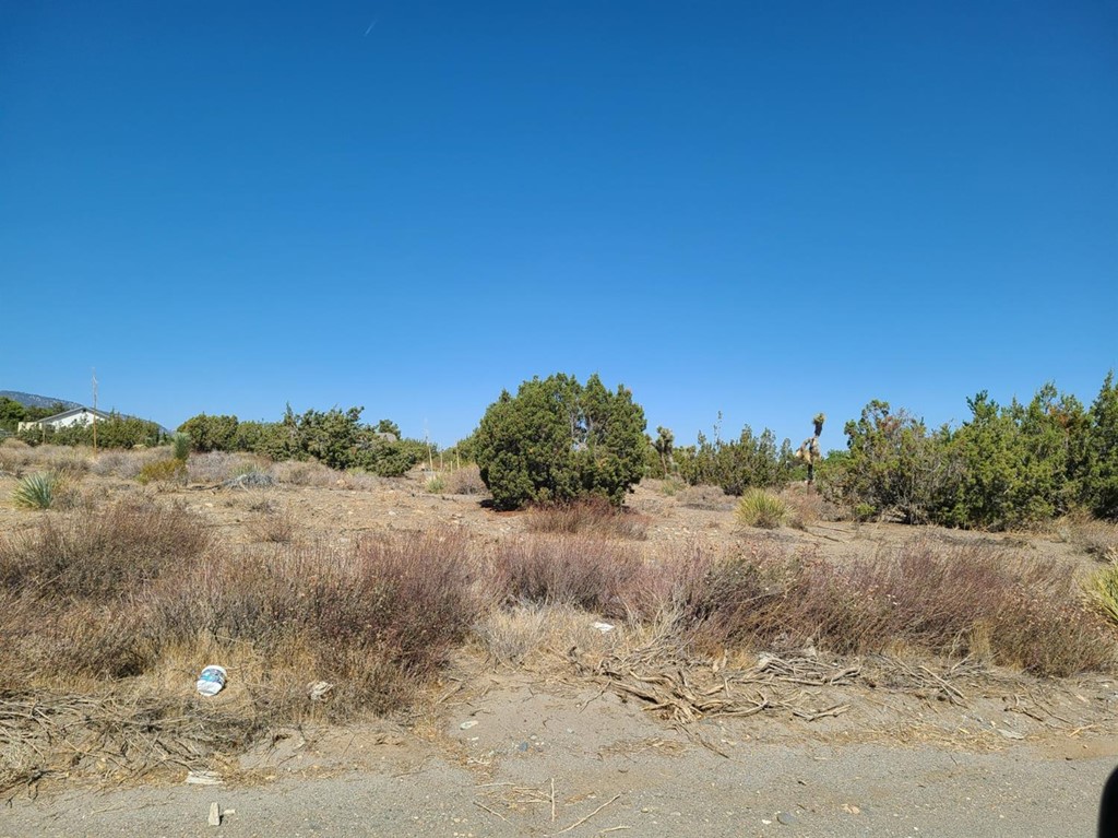 9560 Burbank Road Phelan, CA 92371 - Photo 1 of 1 a view of a dry field