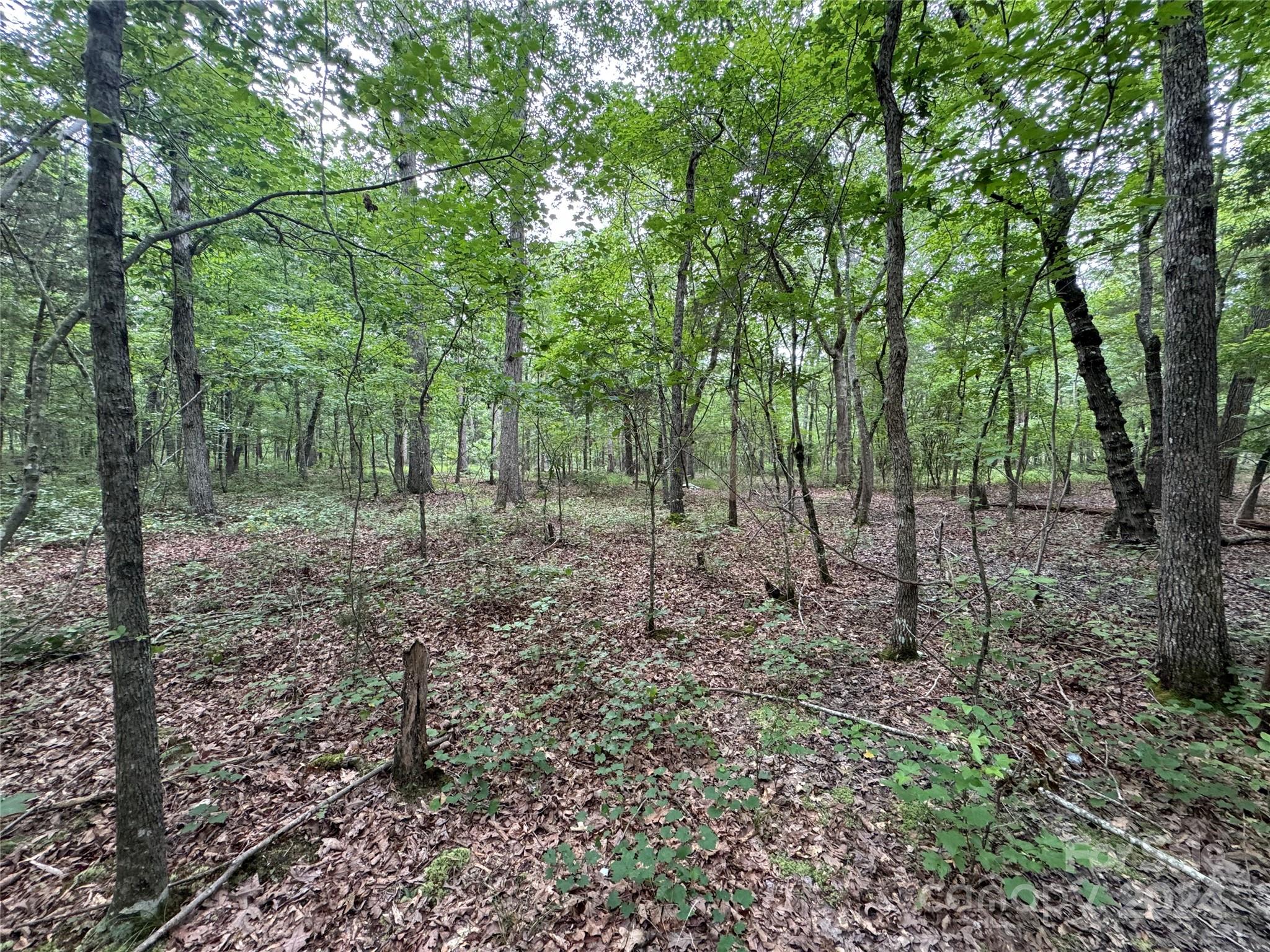 0 Reeves Island Road Gold Hill, NC 28071 - Photo 3 of 6